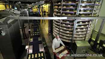 Brace's Bakery employees face anxious wait on job future