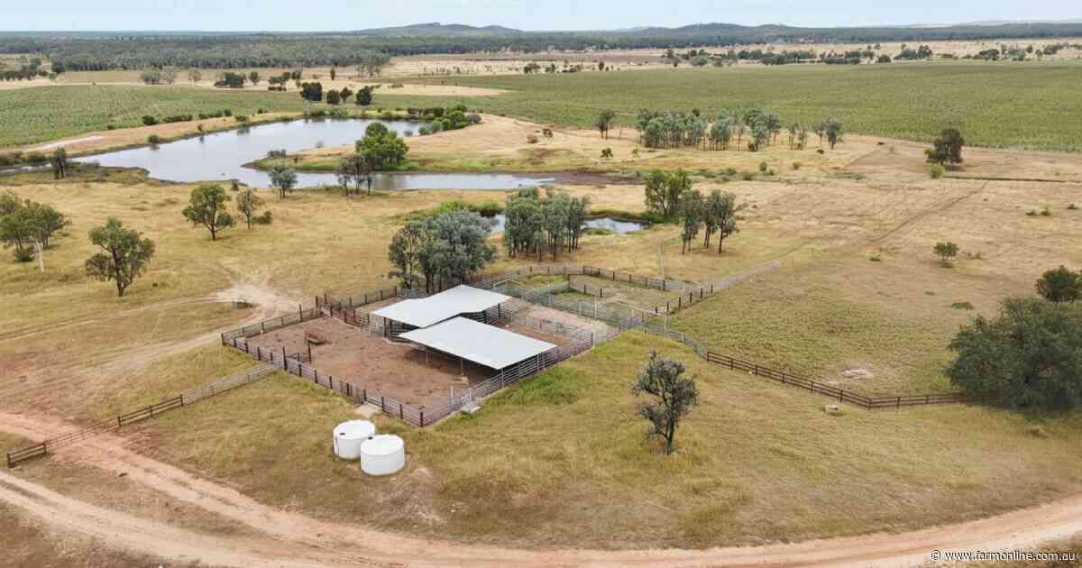 Cutana well located country with buffel grass and cultivation | Photos