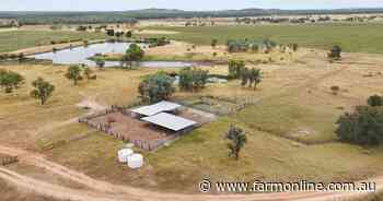 Cutana well located country with buffel grass and cultivation | Photos