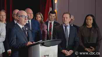 Mayors' caucus asks federal government for more money to improve safety in city centres