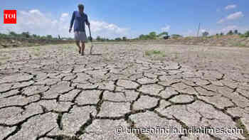 El Nino is here, says European agency amid Pacific warming