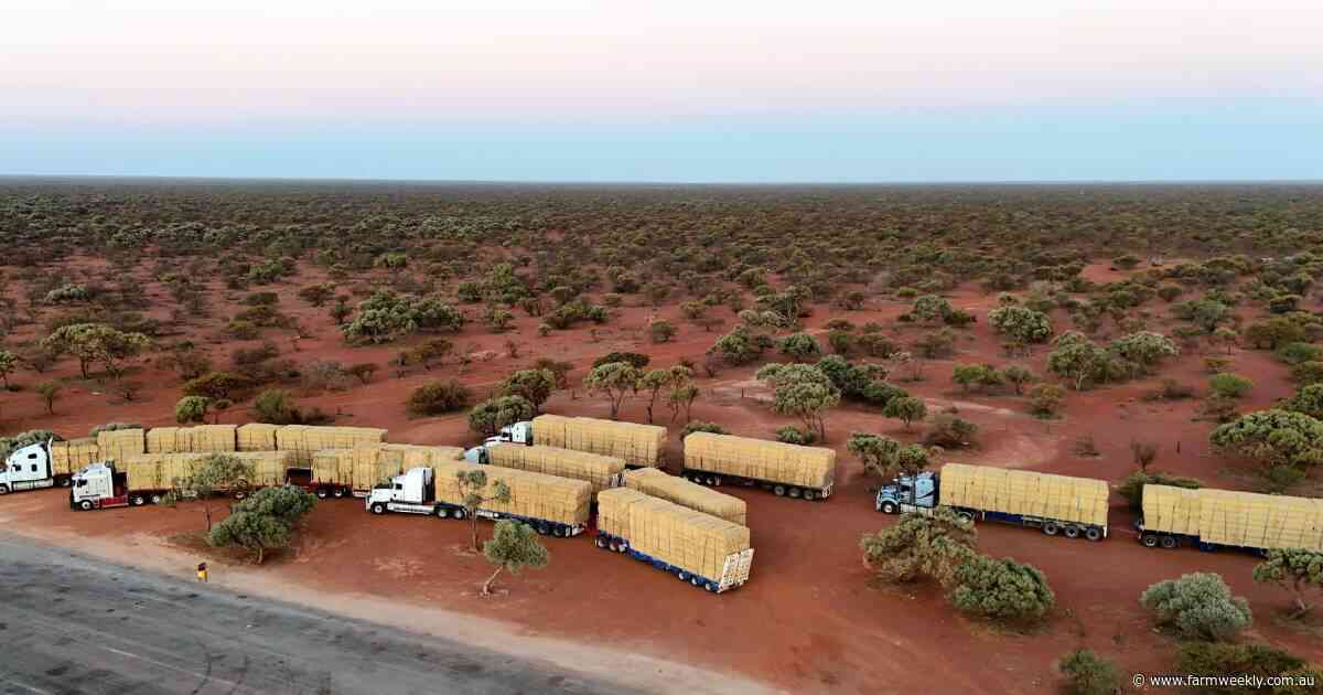 'Knowing someone cared': truckload of hope arrives to northern pastoralists