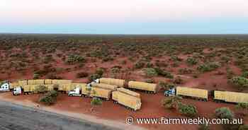 'Knowing someone cared': truckload of hope arrives to northern pastoralists