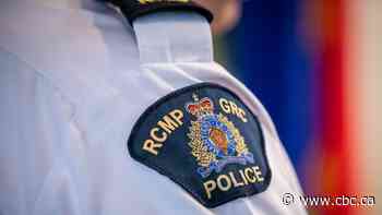 Richmond RCMP officer charged after allegedly stealing money from wallet while on duty: court docs