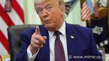 Trump administration breaks silence on Henry Nowak and parrots Farage’s ‘unforgivable’ response