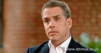 Joe Biden's Son Posts Trump Clone Theory and Drops 2028 Presidential Hint in Viral X Comeback