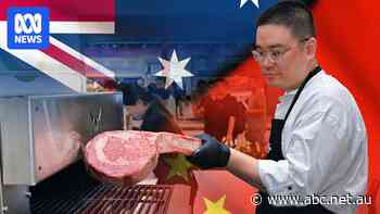 Hot spot for Australian bull semen as China market reopens