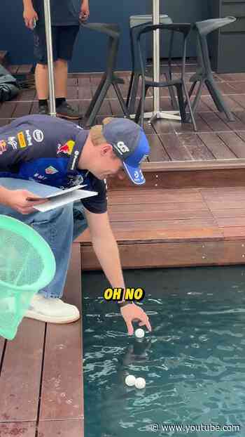 Rare footage of a driver being caught in the wild 🎣 #F1 #RedBullRacing