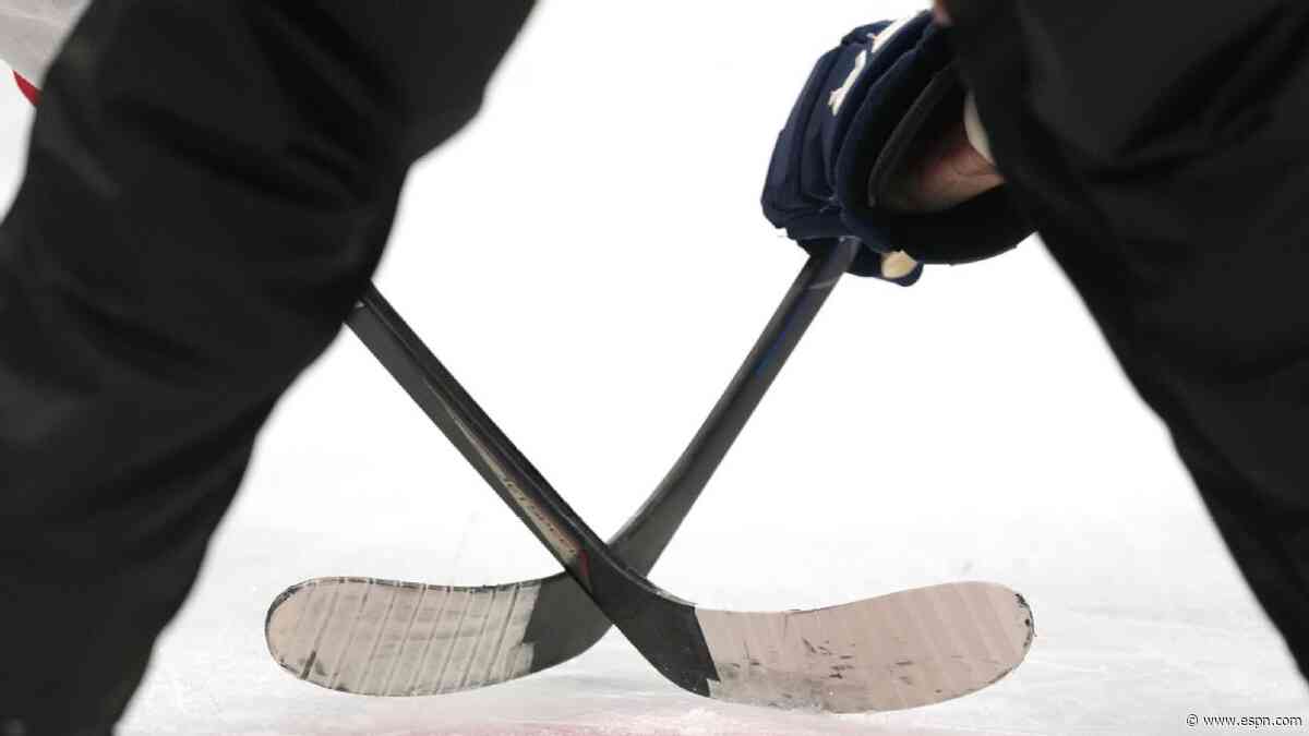 USHL to add Tier 1 Junior teams in western states