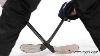 USHL to add Tier 1 Junior teams in western states