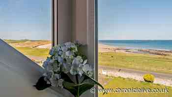 The 'little gem' seaside holiday let with views of Northumberland's 'best beach'