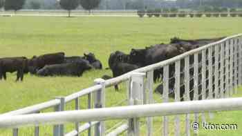 Funk family clarifies the future of Express Ranch