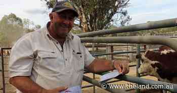 Livestock company goes into liquidation after racking up $4.4 million in debt