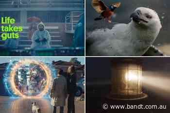 Insurer Ad Spend Grows 11% As Price-Conscious Consumers Shop Around