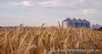 Wheat's danger window has arrived: how to navigate a volatile season