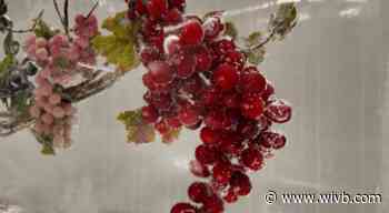 From the Vineyard: Peller Estates