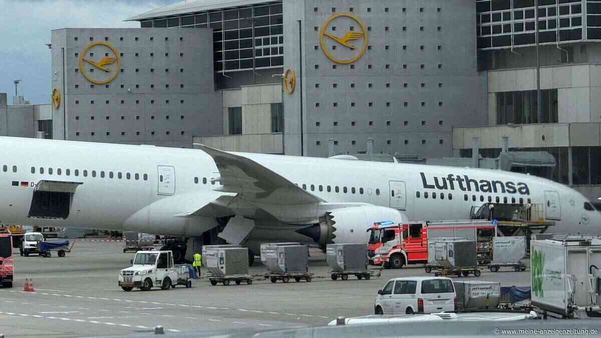 Ursachensuche nach Dreamliner-Panne