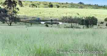 Prime Maranoa country with outstanding fattening pastures heads to auction