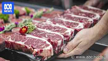 China warns Australia 55pc beef tariffs could apply within days