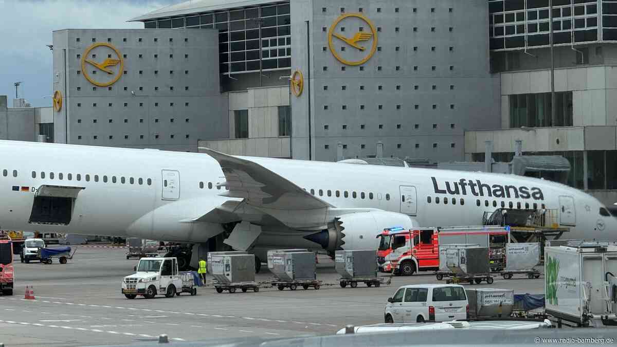 Ursachensuche nach Dreamliner-Panne