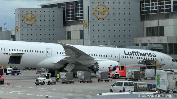 Ursachensuche nach Dreamliner-Panne