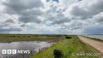 Failing sea defences 'disaster' for nature reserve
