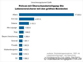 Lebensversicherungen mit Überschussbeteiligung: Das sind die größten Anbieter