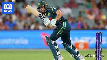 'A lot of confidence' for Ash Gardner ahead of T20 Cup