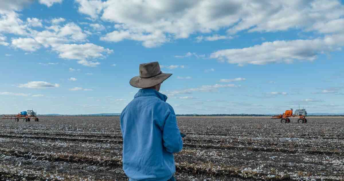 Are banks listening? What farmers say they need to adapt, survive cost crisis