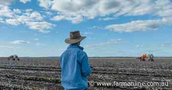 Are banks listening? What farmers say they need to adapt, survive cost crisis