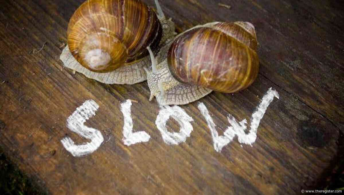 'It would be good for the world' to slow down AI sprints, Anthropic says