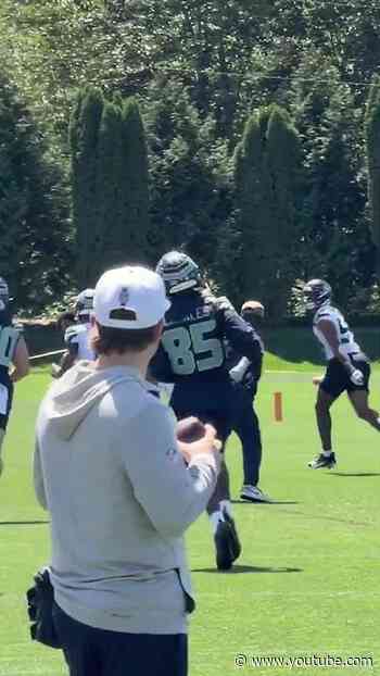 We see you, rook!