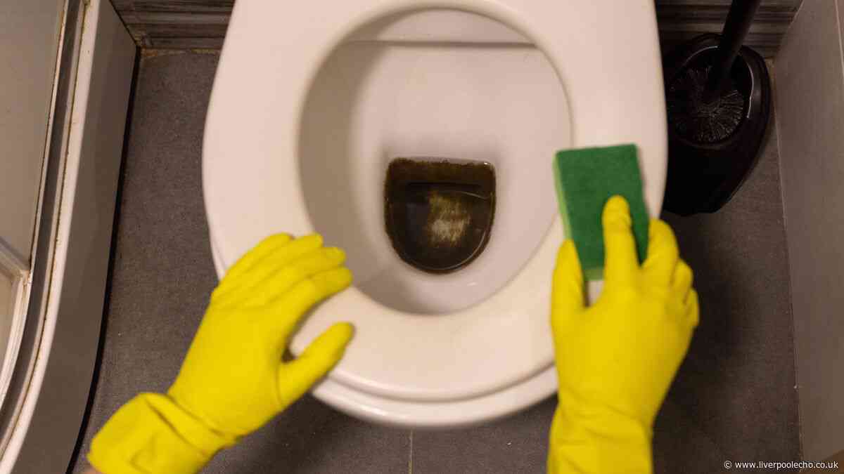 Brown limescale stains will disappear from your toilet in 15 minutes with 1 simple item