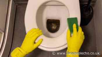Brown limescale stains will disappear from your toilet in 15 minutes with 1 simple item