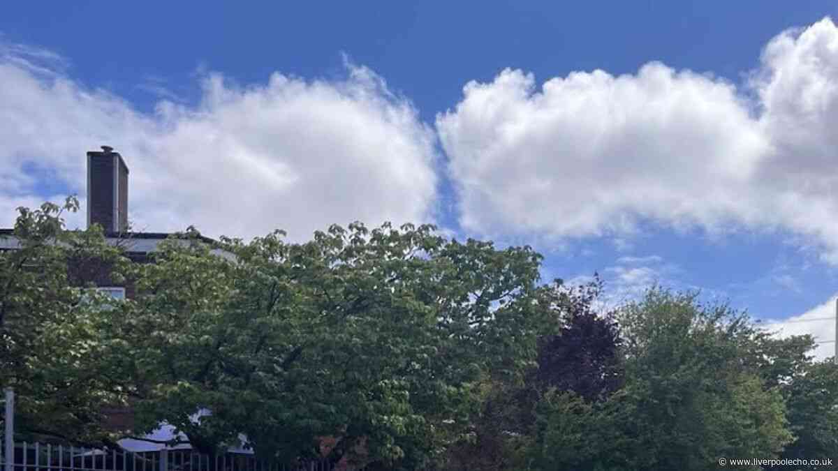 Row over 'noise' from new children's play area at Liverpool school