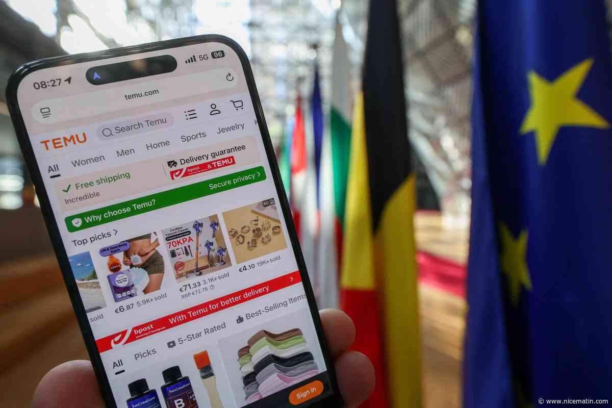 Amazon investit en France, Shein en Europe et Temu réfléchit à modifier sa logistique… Les géants du e-commerce bousculés par les mesures de protection du commerce de proximité