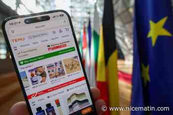 Amazon investit en France, Shein en Europe et Temu réfléchit à modifier sa logistique… Les géants du e-commerce bousculés par les mesures de protection du commerce de proximité