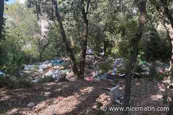 Chiens drogués, barbecues sauvages, déchets... : deux copropriétés se déchirent autour d’un terrain squatté dans ce quartier de Nice
