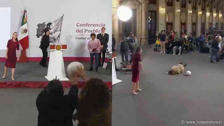 [VIDEO] Periodista mexicana sufrió aparatosa caída en busca de un balón durante conferencia