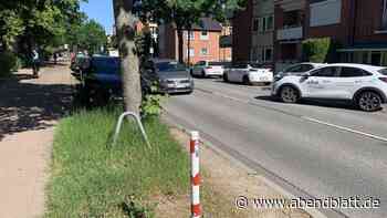 Illegales Parken zerstört das Grün an Lohbrügges wichtigster Straße