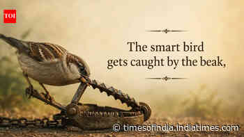 Greek proverb of the day: "The smart bird gets caught by the..."