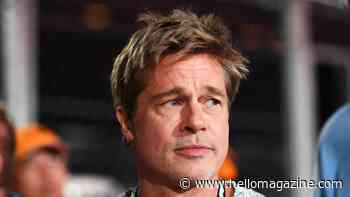 Brad Pitt hit with bizarre $75K lawsuit following family heartbreak