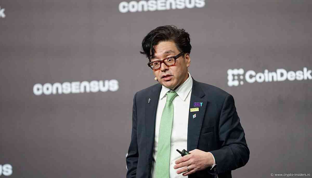 Tom Lee: ‘Ethereum prijs kan naar €215.000 stijgen’