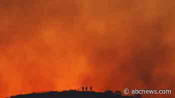 Wildfires are making US smoggy again, reversing progress on cleaner air, study finds