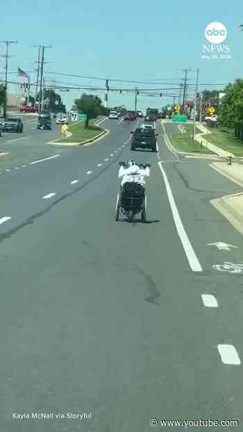 Wheelchair spotted cruising down the street in Baltimore suburb