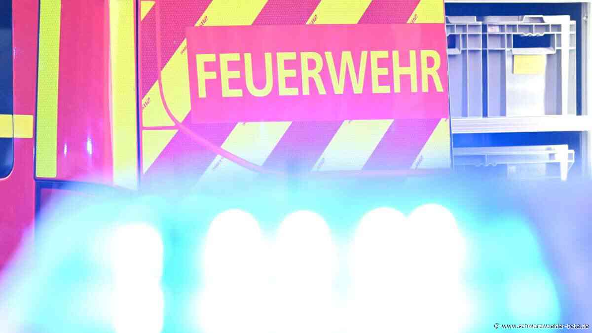 Fünf Kilometer Stau: Auto brennt nach Kollision – A81 in Richtung Stuttgart gesperrt