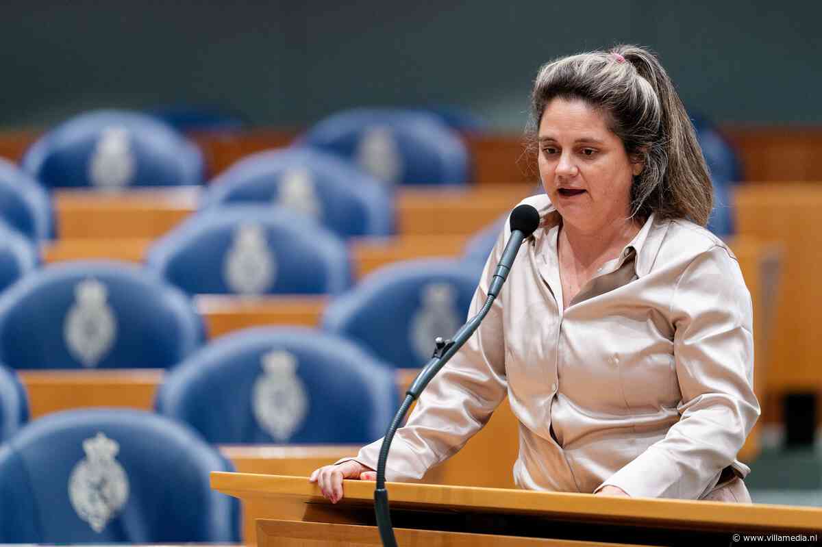 Tweede Kamer wil weten wat kabinet doet tegen buitenlandse beïnvloeding op sociale media
