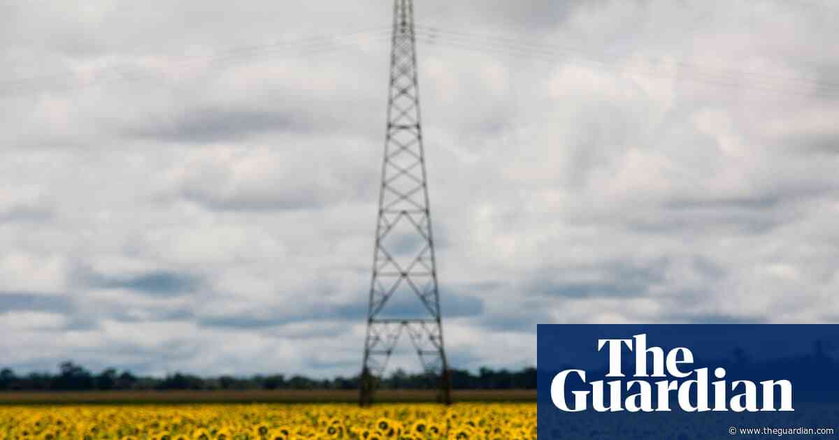 Scramble for biofuel as oil prices rise could push world closer to food crisis