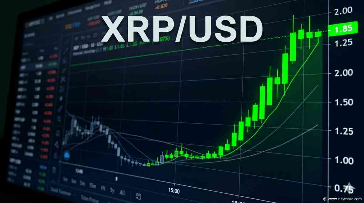 Analyst Spots XRP Signal That Preceded Every Major Rally Since 2017