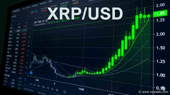 Analyst Spots XRP Signal That Preceded Every Major Rally Since 2017
